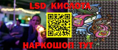дмт Будённовск