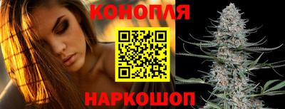 дмт Будённовск